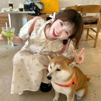 小车故障